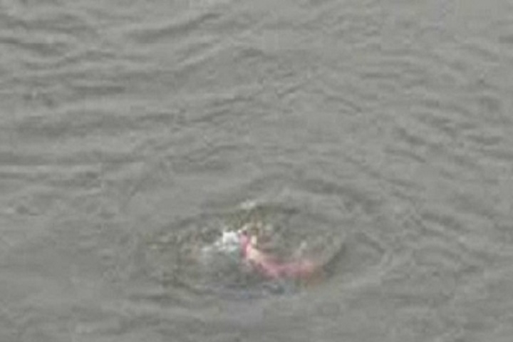 ফুলগাজীতে পুকুরে ডুবে শিশুর মৃত্যু 3 image 84323 1580189843