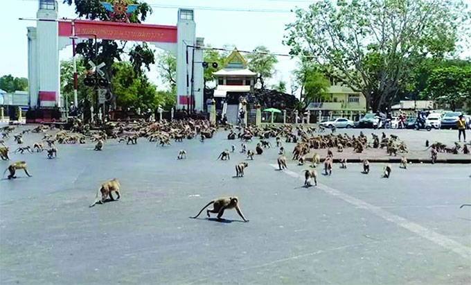 করোনার প্রভাব 13 217333 koro