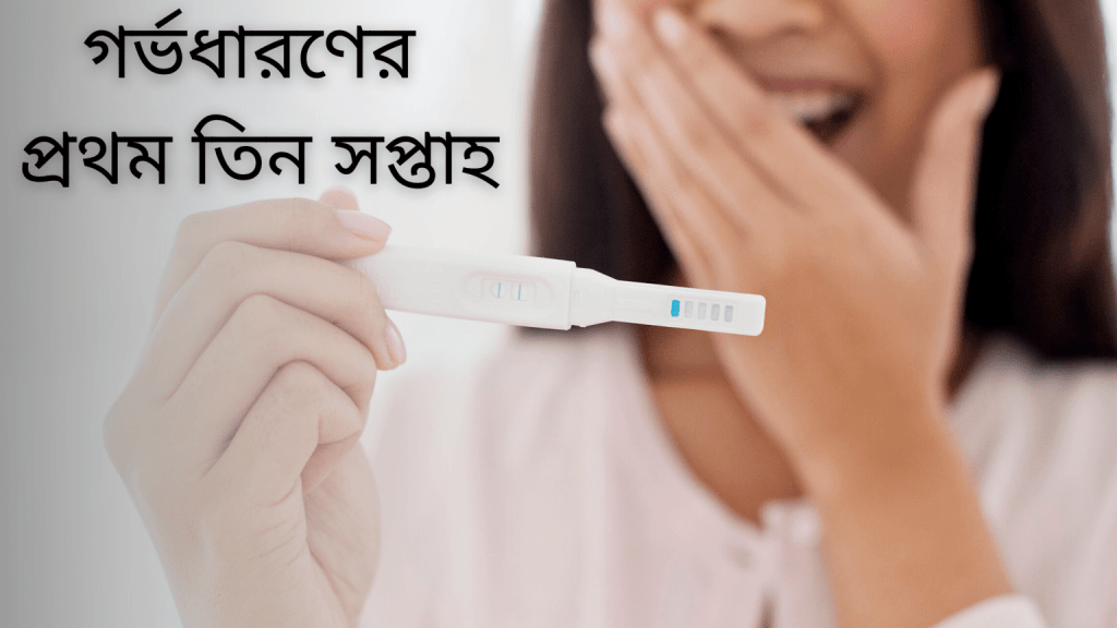 গর্ভধারণের প্রথম তিন সপ্তাহ pregnant