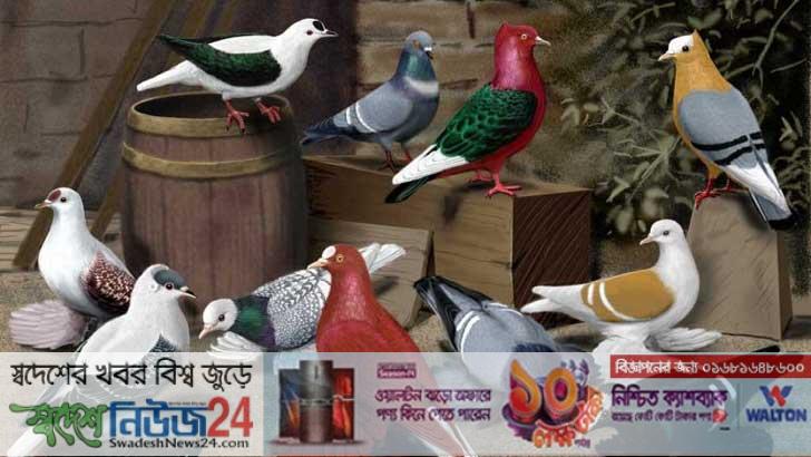 কবুতর চুরির অপবাদে কিশোরকে বাঁশের খুঁটিতে বেঁধে নির্যাতন 2 9Pijon curer opraday kesor kay baser khute tay baday nerjaton