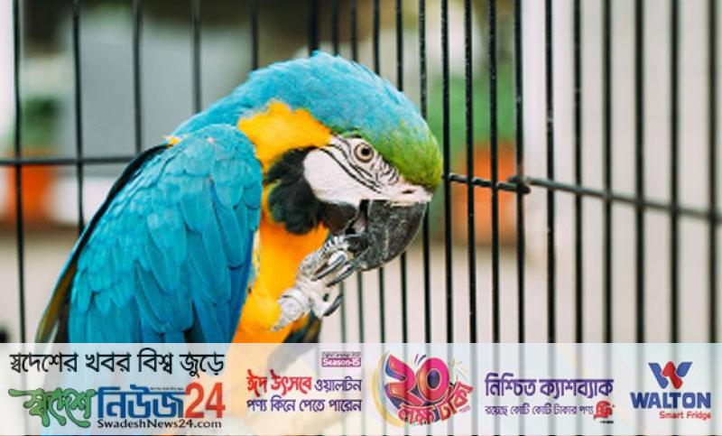 2243075 kalerkantho 2022 30 pic