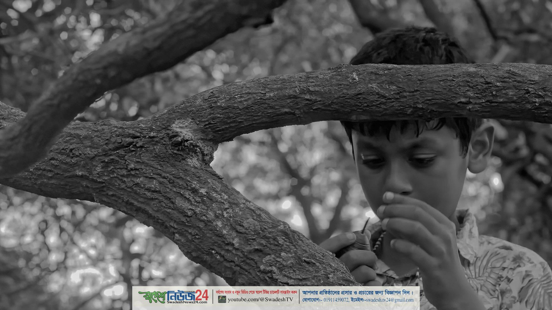 Still 03 Summer Holiday