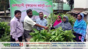 gaibandha tree plantation