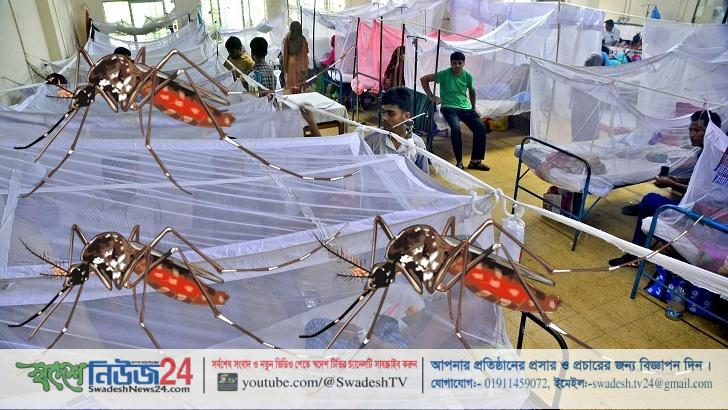 ডেঙ্গুতে মৃত্যুর ৬৯ শতাংশই ঢাকায় 1 dengue