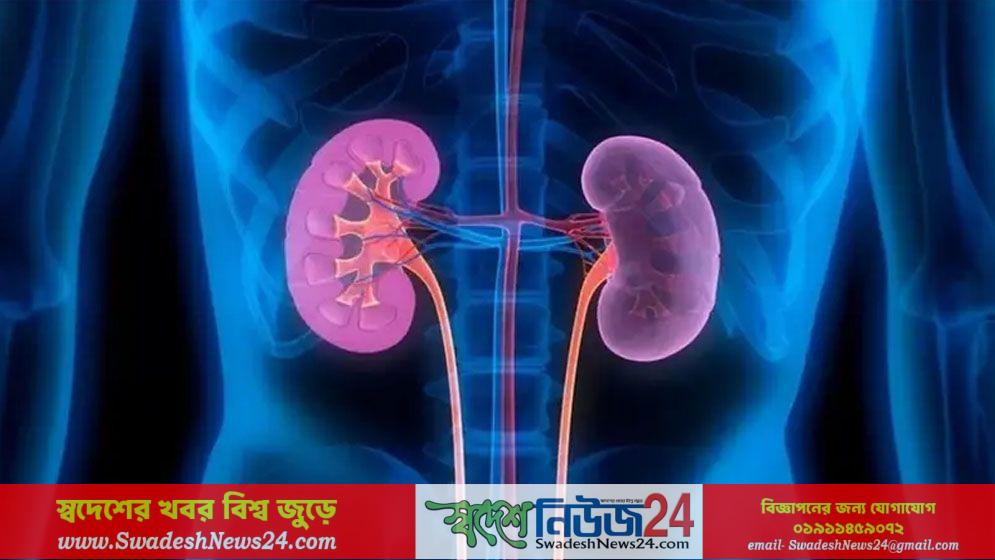 অনিরাপদ ডায়ালাইসিসে ৭০ ভাগ রোগী আক্রান্ত হচ্ছেন ভাইরাসে 13 অনিরাপদ ডায়ালাইসিসে ৭০ ভাগ রোগী আক্রান্ত হচ্ছেন ভাইরাসে